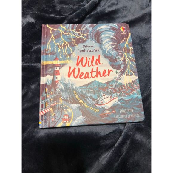 Usborne Wild Weather Lift the Flap Book - Picture 1 of 3